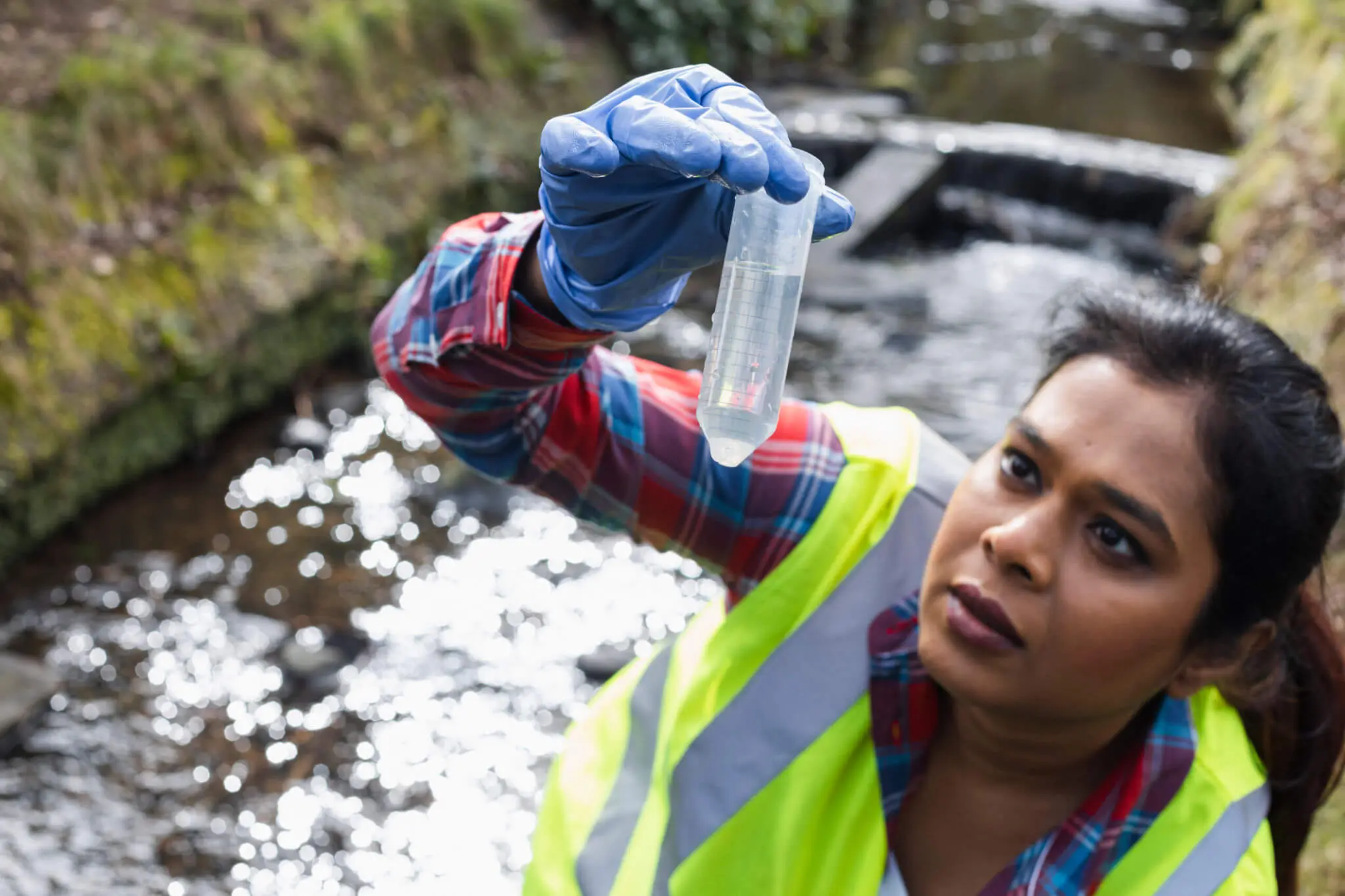 Scientist examining water sample near stream.